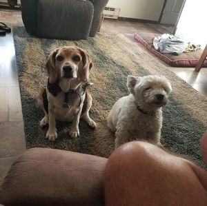 Meet your Posher, Earl